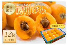 【2025年5月下旬～6月中旬発送予定】房州びわ3Lサイズ以上×12粒（化粧箱入り） mi0044-0015