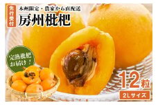 『房州枇杷（ビワ） 2Lサイズ12粒入』完熟枇杷を農家から直送！ mi0039-0015 【完熟 びわ フルーツ 旬 季節 果物】