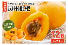 【先行受付 2025年5月下旬～6月中旬発送予定】『房州枇杷（ビワ） 3Lサイズ12粒入』完熟枇杷を農家から直送！ mi0039-0012 【完熟 びわ フルーツ 旬 季節 果物】