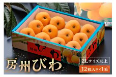 【先行受付 2025年5月下旬～6月中旬発送予定】房州びわ(露地)12粒入2Lサイズ以上1箱 mi0010-0010 【 びわ フルーツ 旬 季節 果物 瑞々しい お取り寄せ グルメ】