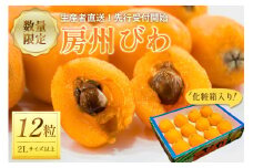 【2025年5月下旬～6月中旬発送予定】房州びわ2Lサイズ以上×12粒（化粧箱入り） mi0044-0014