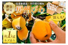 【2025年5月下旬～6月中旬発送予定】≪訳あり≫ 生産者直送 房州びわ1キロ袋入り（多少きずあり） mi0044-0013