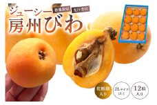 【先行受付 2025年5月中旬～6月中旬発送予定】【数量限定】 生産者直送　ジューシー房州びわ（2Lサイズ以上）化粧箱入り mi0057-0002 【果物 フルーツ デザート おやつ 枇杷 ビワ 国産 特産品 贈答】