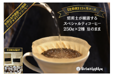 【定期便】スペシャルティコーヒー豆 焙煎士セレクト 250g×2種【豆】 12ヶ月 mi0043-0007 【コーヒー 焙煎士 浅煎り 深煎り 甘味 酸味 コク】