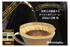 【定期便】スペシャルティコーヒー豆 焙煎士セレクト 250g×2種【粉】 12ヶ月 mi0043-0008 【コーヒー 焙煎士 浅煎り 深煎り 甘味 酸味 コク】