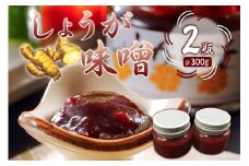 しょうが味噌　150g×2個 mi0005-0007 【辛味 房州生姜 甘辛 味噌 みそおでん 野菜炒め 高家ふるさと産品 国産 ごはん おかず】