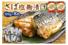 さば塩麹漬け約120g以上×8枚（個包装） mi0012-0100