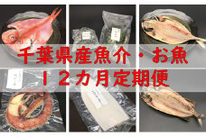 【定期便】千葉県産魚介・お魚12カ月定期便 mi0022-0019
