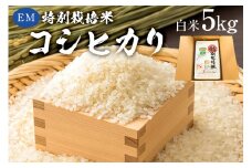 【2025年9月1日以降発送予定】白米　EM特別栽培米こしひかり5kg【2025年産】 mi0068-0004【お米 精米 白米 こしひかり コシヒカリ おにぎり】