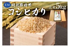 【2025年9月1日以降発送予定】玄米　EM特別栽培米こしひかり5kg【2025年産】 mi0068-0003【お米 玄米 こしひかり コシヒカリ おにぎり】