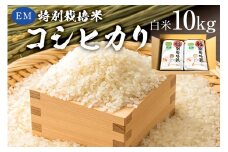 【2025年9月1日以降発送予定】白米　EM特別栽培米こしひかり10kg（5kg×2袋）【2025年産】 mi0068-0005【お米 精米 白米 こしひかり コシヒカリ おにぎり】