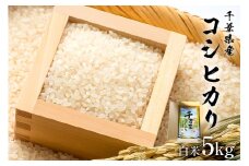 【2025年9月1日以降発送予定】白米　千葉県産こしひかり5kg【2025年産】 mi0068-0001【お米 精米 白米 こしひかり コシヒカリ おにぎり】
