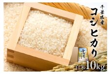 【2025年9月1日以降発送予定】白米　千葉県産こしひかり10kg【2025年産】 mi0068-0002【お米 精米 白米 こしひかり コシヒカリ おにぎり】