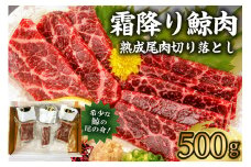 霜降り鯨肉/熟成尾肉（尾の身）切り落とし500g【訳あり不揃い】 mi0012-0045 鯨肉 くじら おつまみ 訳あり 希少 セット 冷凍 コラーゲン 鉄分 美容  高たんぱく