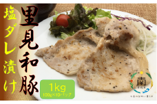 里見和豚　焼き肉用ロース塩だれ漬け　1kg（小分け100g×10パック） mi0017-0025
