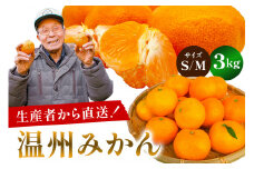 温州みかん 3kg【サイズS又はM】 mi0032-0001-1 【果物 フルーツ 果実 みかん オレンジ 柑橘】
