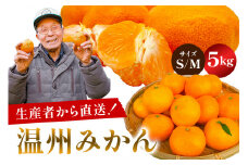 温州みかん 5kg【サイズS又はM】 mi0032-0002-1 【果物 フルーツ 果実 みかん オレンジ 柑橘】
