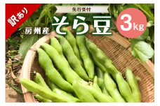 【先行受付 2025年4月中旬～5月中旬発送予定】そら豆/ソラマメ3kg【訳あり】 mi0044-0010【豆 野菜 期間限定 数量限定 新鮮 朝採れ】