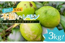 【訳あり】キズ有、不揃いレモン3kg（ユーレカまたはリスボン） mi0032-0004 【果物 フルーツ 果実 レモン 柑橘】