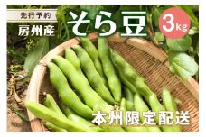 【先行受付 2025年4月中旬～5月中旬発送予定】そら豆/ソラマメ3kg mi0044-0009【豆 野菜 期間限定 数量限定 新鮮 朝採れ】