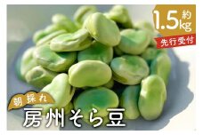 【先行受付 2025年4月25日頃～5月中旬発送予定】朝採れ房州そら豆1.5kg mi0046-0003【ソラマメ 豆 おつまみ 朝採れ 新鮮】