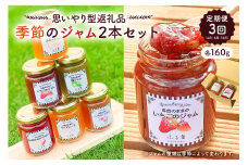 【定期便　思いやり型返礼品】季節のジャム2本セット（160ml×2本）×3回（4月・8月・12月）お届け mi0049-0007 【フルーツ 果物 手作り パン ヨーグルト いちご いちじく 温州みかん ゆず マーマレード 夏みかん 梅 プラム ブルーベリー 梨 りんご プルーン】