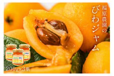 福原農園のびわジャム（200g×3瓶）セット  mi0073-0001 【枇杷 ジャム 房州びわ フルーツ 果物 果実 国産 詰合せ ギフト】