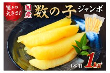  国産　塩数の子ジャンボ(北海道産）　1本羽　1kg　小分け(500g×2袋） mi0012-0070 【数の子 ニシン ジャンボサイズ 海産物 魚卵 レシピ同封 お正月 おせち料理】