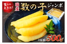  国産　塩数の子ジャンボ(北海道産） 1本羽 500g  mi0012-0069 【数の子 ニシン ジャンボサイズ 海産物 魚卵 レシピ同封 お正月 おせち料理】