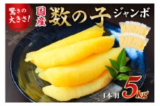 国産　塩数の子ジャンボ(北海道産）　1本羽　5kg　小分け（500g×10袋） mi0012-0072 【数の子 ニシン ジャンボサイズ 海産物 魚卵 レシピ同封 お正月 おせち料理】
