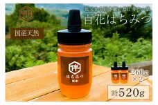 【国産・100％天然】百花はちみつ2本セット（260g×2本・とんがりポリ容器）祖父から引き継いだ自慢の一品 mi0075-0002