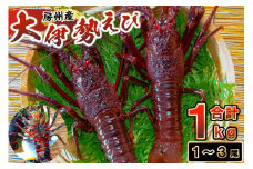 房州産大伊勢えび　約1kg mi0014-0003