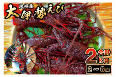 房州産大伊勢えび　約2kg mi0014-0004