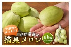 お漬物にぴったり　安田農園の摘果メロン（子メロン）1kg mi0018-0011