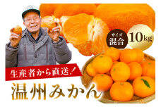 温州みかん 10kg  【サイズ混合】  mi0032-0003-3 【果物 フルーツ 果実 みかん オレンジ 柑橘】