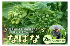 【先行受付 2024年12月中旬～2025年3月上旬発送予定】菜の花/ナバナ 2kg mi0039-0018 【緑黄色野菜 栄養 旬野菜 季節野菜 食物繊維 おひたし 漬物】