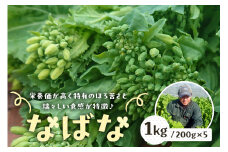 【先行受付 2024年12月中旬～2025年3月上旬発送予定】菜の花/ナバナ 1kg mi0039-0017 【緑黄色野菜 栄養 旬野菜 季節野菜 食物繊維 おひたし 漬物】