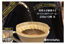 スペシャルティーコーヒー 【フルーティーテイスト】 250g×2種類【豆のまま】 mi0043-0010-1 【コーヒー 飲料 フルーティー 果実味 焙煎 セレクト ドリップ オリジナルレシピ付き】