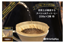 スペシャルティーコーヒー 【フルーティーテイスト】 250g×2種類【中細挽き】 mi0043-0010-2 【コーヒー 飲料 フルーティー 果実味 焙煎 セレクト ドリップ オリジナルレシピ付き】