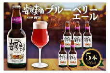 安房麦酒　ブルーベリーエール5本（発泡酒）（330ml×5本） mi0097-0002-6