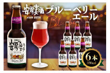 安房麦酒　ブルーベリーエール6本（発泡酒）（330ml×6本） mi0097-0001-8