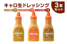 キャロ生ドレッシング　3本セット mi0092-0002 【にんじん 玉ねぎ 甘み 調味料 たれ ニンニク 胡麻 リンゴ酢 オリジナル サラダ お肉 野菜炒め スパゲッティ 目玉焼き ソース 下味 米油】