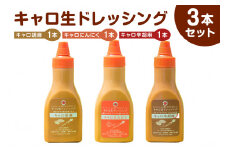 キャロ生ドレッシング　3本セット mi0092-0002 【にんじん 玉ねぎ 甘み 調味料 たれ ニンニク 胡麻 リンゴ酢 オリジナル サラダ お肉 野菜炒め スパゲッティ 目玉焼き ソース 下味 米油】