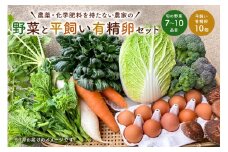 4月発送　農薬・化学肥料を持たない農家の野菜（7～10種類）と 平飼有精卵のセット mi0036-0017-04 【野菜 卵 露地栽培 国産 旬野菜 季節野菜 キャベツ きゅうり トマト 果物 蒟蒻 味噌】