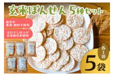 玄米ぽんせん30g入り5種セット mi0100-0001-1
