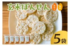 玄米ぽんせん(厚切り･塩味)30g入り5袋セット mi0100-0001-2