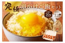 6月発送 究極卵かけご飯セット（有精卵10個（割れ保証1個含む）と【2023年産】環境保全型米こしひかり玄米2.2kg） mi0036-0006-06