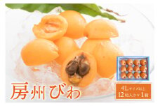 房州びわ(露地)12粒入4Lサイズ以上1箱 mi0101-0002 【果物 枇杷 房州びわ フルーツ 国産 芳醇 大きい デザート】