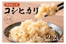 12月発送環境保全型コシヒカリ 玄米2.2kg【2024年産】 mi0036-0007-12