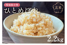 12月発送環境保全型ひとめぼれ 玄米2.2kg【2024年産】 mi0036-0008-12